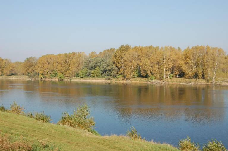 6i2_vue sur loire .jpg